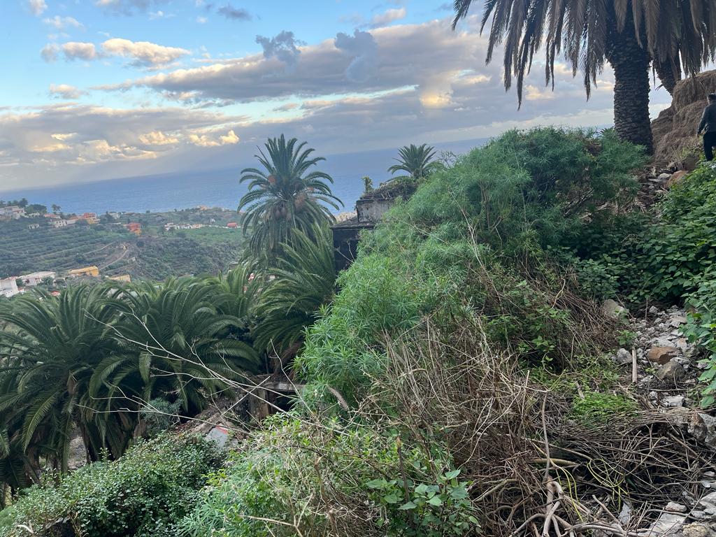 FINCA RUSTICA LAS GOTERAS-BARRANCO DEL RÍO S/N - EL ROQUE