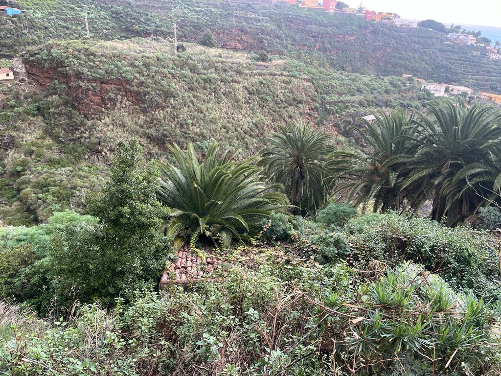 FINCA RUSTICA LAS GOTERAS-BARRANCO DEL RÍO S/N - EL ROQUE