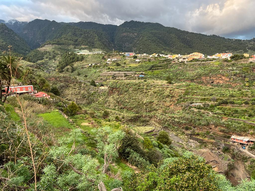 FINCA RUSTICA LAS GOTERAS-BARRANCO DEL RÍO S/N - EL ROQUE