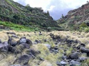 FINCA RUSTICA LAS GOTERAS-BARRANCO DEL RÍO S/N - EL ROQUE